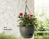 Aldi Suisse  GARDENLINE® Blumenampel mit Wasserspeicher