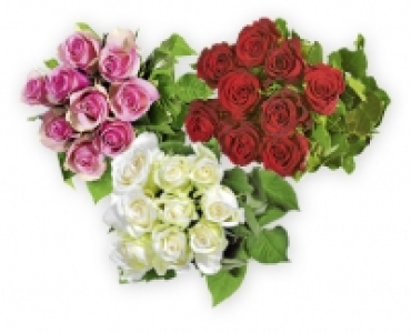 GARDENLINE&reg; Fairtrade Max Havelaar Langstielrosen CHF&nbsp;9.95