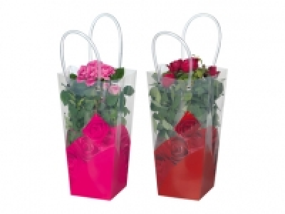 Topfrosen in Henkeltasche CHF 5.99