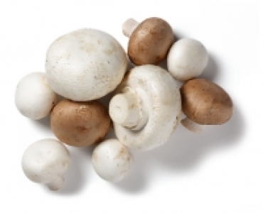 Champignons CHF 1.49