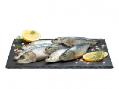 Sardinen CHF 4.99