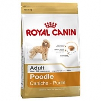 Qualipet  Royal Canin Adult Pudel 1.5kg