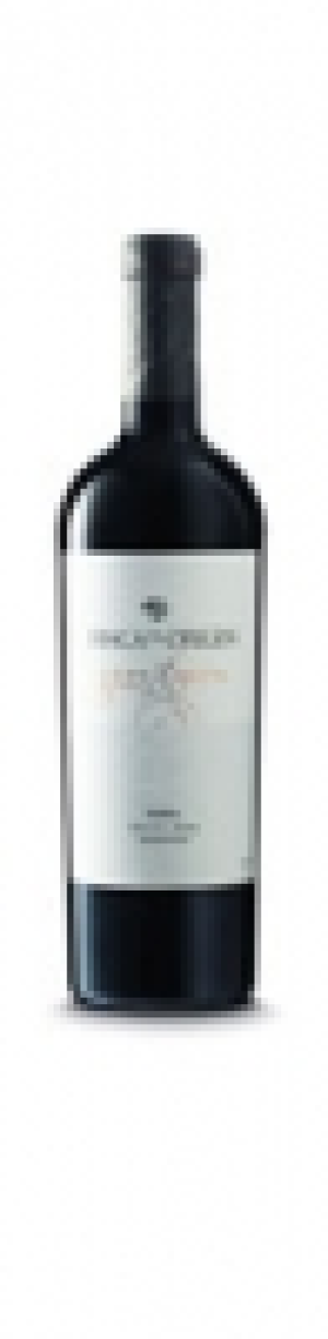 Malbec Gran Reserva Finca El Origen 2013 CHF&nbsp;105.00