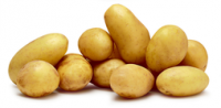 Coop  Frühkartoffeln Primeur, Schweiz, Tragtasche à 1,5 kg (1 kg = 2.63)