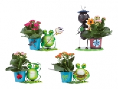 Zinkfiguren mit Kalanchoe CHF 5.99