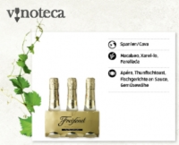 FREIXENET Carta Nevada semi seco DO CHF 7.29