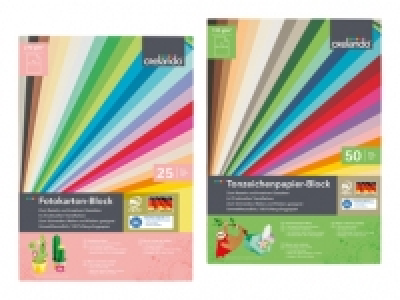 Tonzeichenpapier-/ Fotokarton-Block CHF 3.99