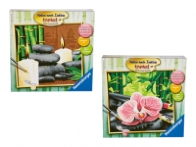 Malen nach Zahlen CHF 9.99