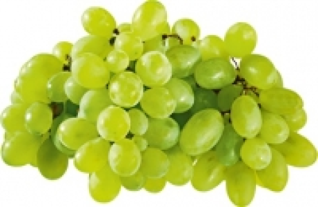 Trauben weiss CHF 3.65
