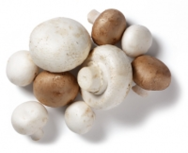 Champignons CHF 1.29