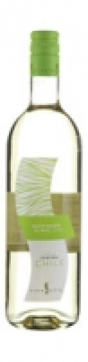 Sauvignon Blanc Valle Centrale Vi&ntilde;a Sutil 2016 CHF&nbsp;4.75