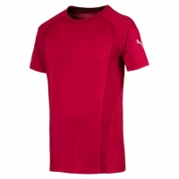 SportXX  Puma Evostripe Basic Tee Herren-T-Shirt