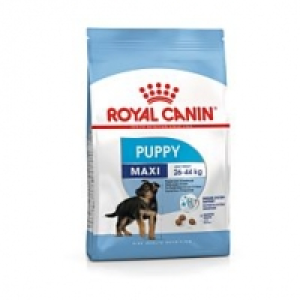Royal Canin Maxi Puppy CHF 39.90