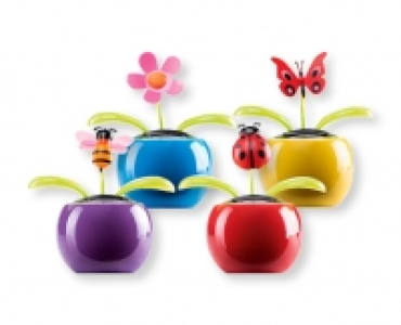 Wackelsolarblume CHF 3.99