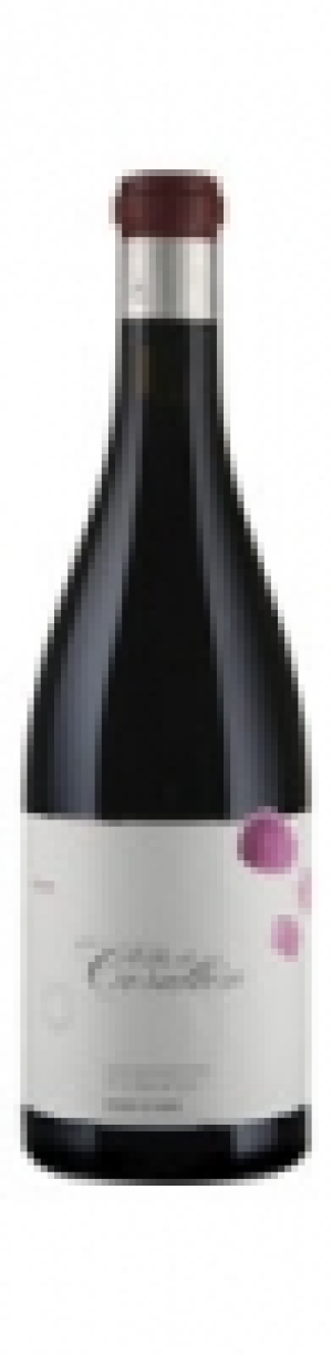 Bierzo DO Villa de Corull&oacute;n Descendientes de J. Palacios 2011 CHF&nbsp;46.00