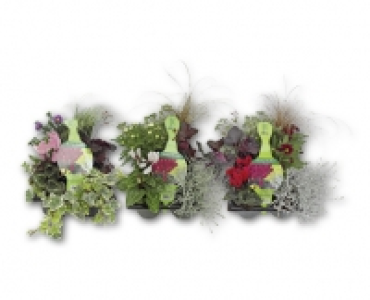 Bunter Herbst CHF 7.99
