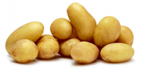 Coop  Kartoffeln, festkochend, grüne Linie, Schweiz, Tragtasche à 3,5 kg (1 