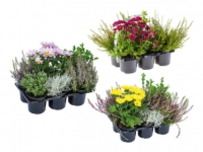 Outdoor-Mix CHF 5.99