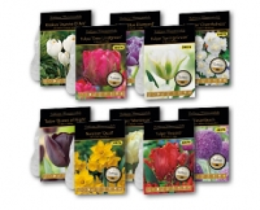 Exklusive Blumenzwiebeln CHF 2.99