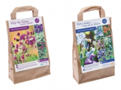 Blumenzwiebeln «Biene & Schmetterling» CHF 3.99