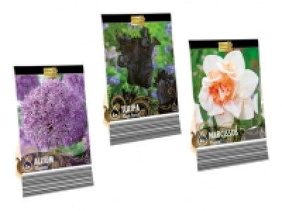 Blumenzwiebeln «Premium» CHF 2.99