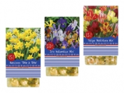 Blumenzwiebeln «Frühling» CHF 1.79