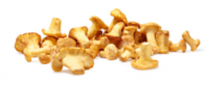 Eierschwämme, Litauen/Weissrussland/Russland/Polen, Packung à 400 g (1