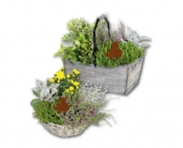 Bepflanzte Holzkiste/Weidenkorb CHF 14.99