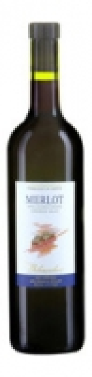 Valais AOC Merlot Bibacchus 2016 CHF 9.95