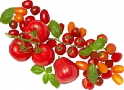 Tomaten Peretti CHF 3.40