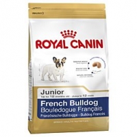 Qualipet  Royal Canin Junior Französische Bulldogge
