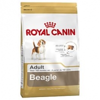 Qualipet  Royal Canin Hund Beagle Adult 3kg