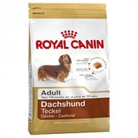 Qualipet  Royal Canin Adult Dachshund
