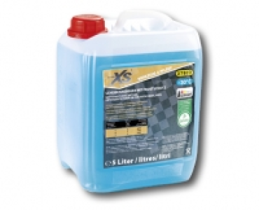 AUTO XS Scheibenreiniger mit Frostschutz CHF 14.99