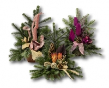 Allerheiligengesteck CHF 14.99