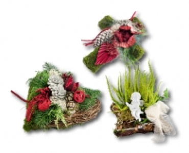 Allerheiligen-Arrangement CHF 12.99