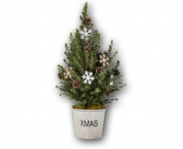Weihnachtsbäumchen CHF 12.99