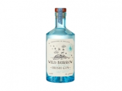 Wild Burrow Gin CHF 19.99
