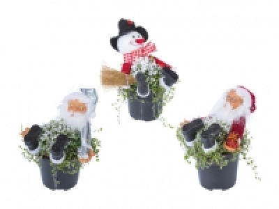Bubikopf mit Stecker CHF 5.99