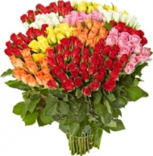 Rosen CHF 4.95