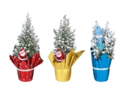 Ellwoodii mit Schnee CHF 2.99