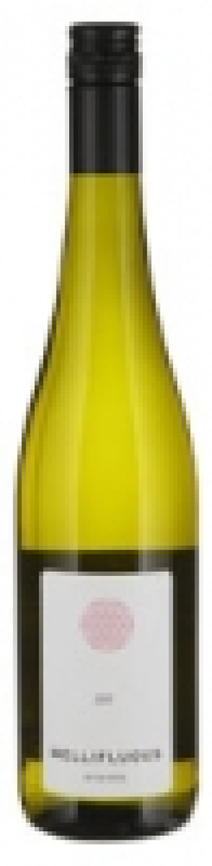 Rheingau Riesling QbA Mellifluous Eva Fricke 2017 CHF 14.80
