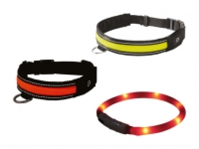 Hundehalsband LED CHF 9.99