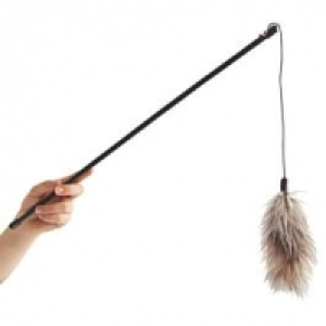 swisspet Federboa kurz CHF 5.90