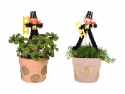 Glücksklee im Centtopf CHF 2.99
