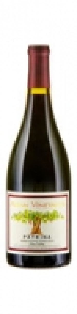 Syrah Edna Valley Estate Patrina Alban Vineyards 2013 CHF&nbsp;59.00