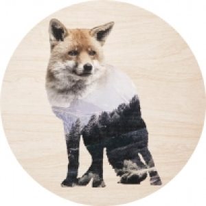 COZY ll Wandteller CHF 32.45