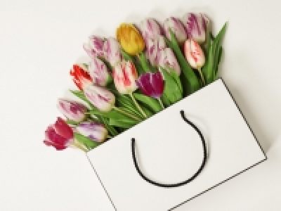 Tulpen CHF 3.99
