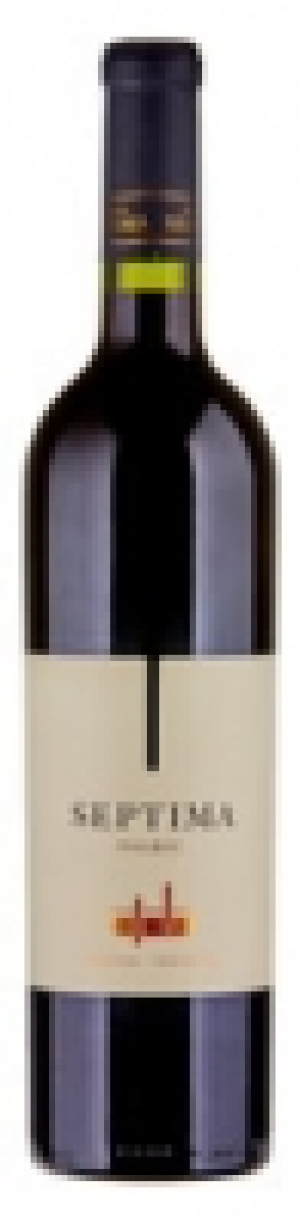 Malbec Mendoza Argentina Bodega Septima 2016 CHF 11.15