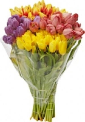 Tulpen CHF 6.50